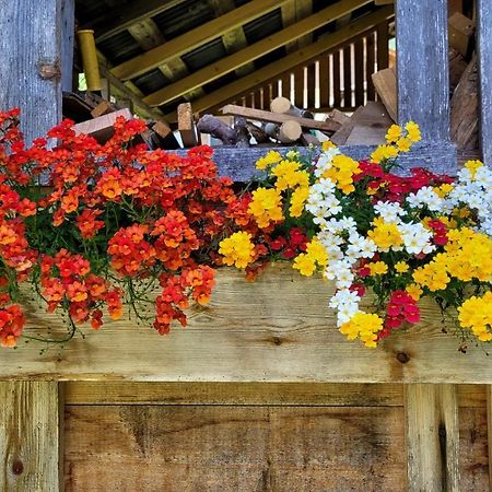 La Gerla Casa Vacanze Dolomiti Perarolo di Cadore Exterior foto