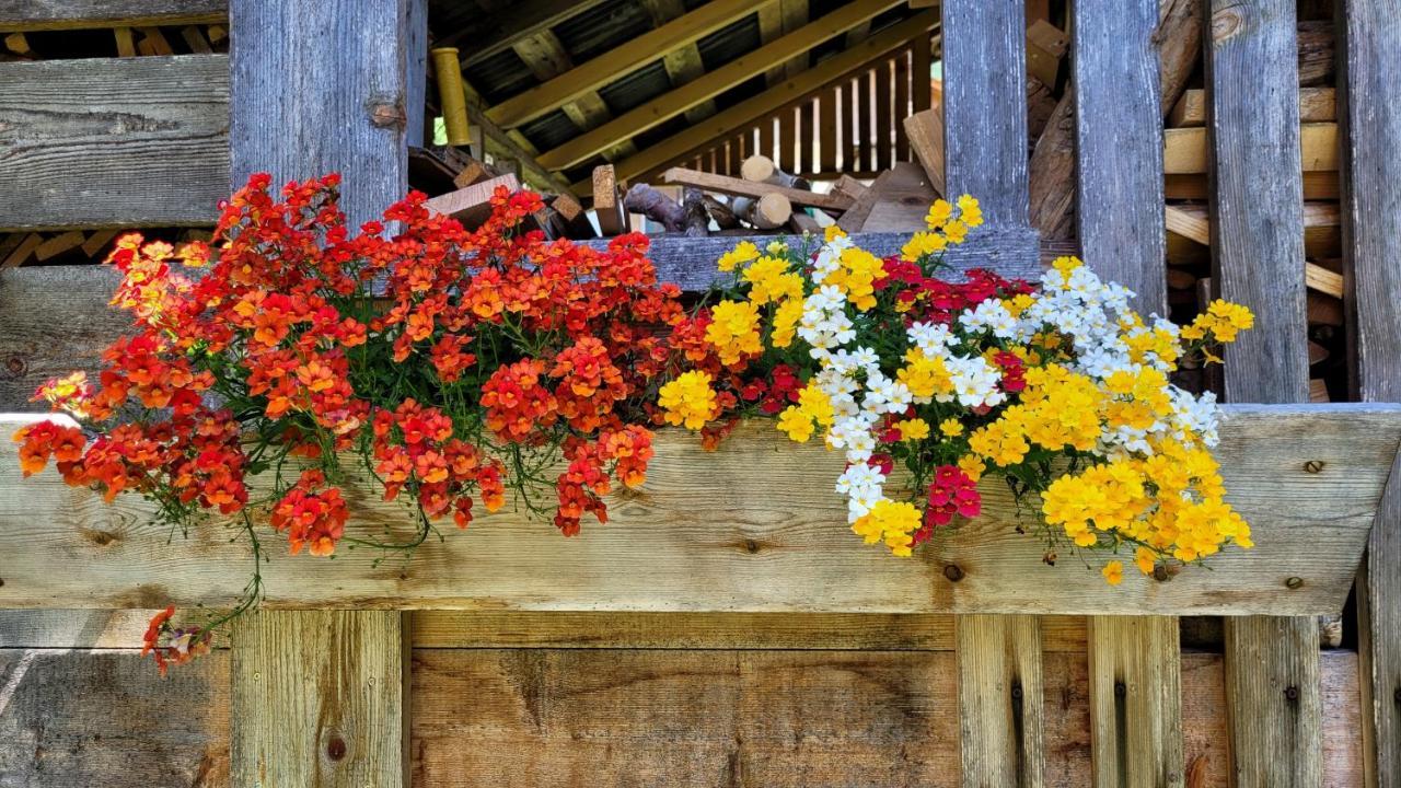 La Gerla Casa Vacanze Dolomiti Perarolo di Cadore Exterior foto